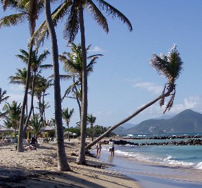 Nisbet Beach