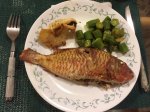 Fish & Conch
