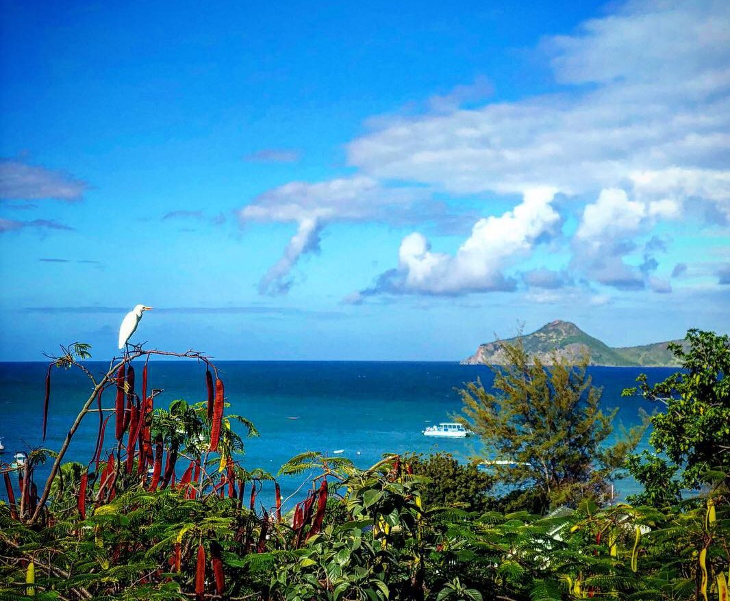 View from villa Calypso