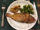 Fish plate
